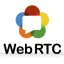 tokboxのwebRTC録画機能の概要