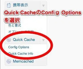 Quick Cache 設定画面03