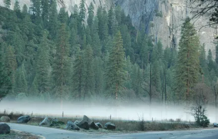 Yosemite National Park