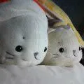 20030316_0017.webp