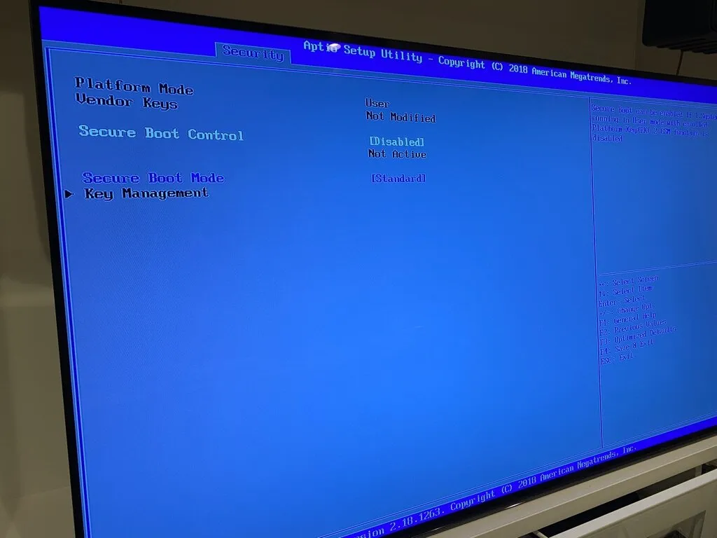 インストール試行画面02