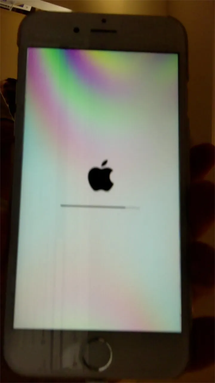 Camera_1_28_15__23_10_1