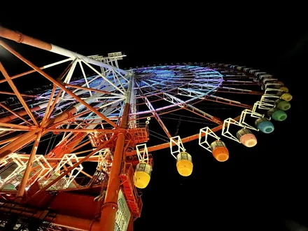 Cover Image of the Post