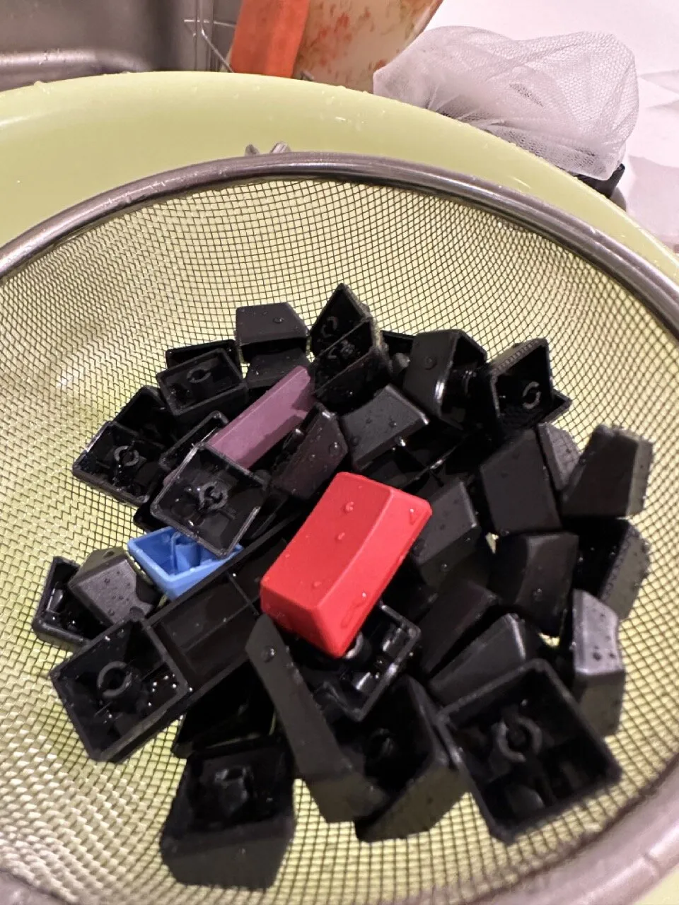 網で掬い上げ