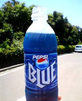 P1000004.webp