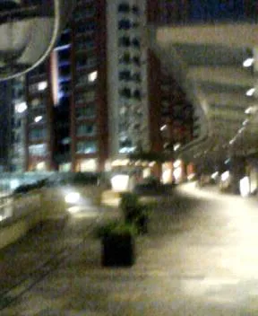 P1000012.webp