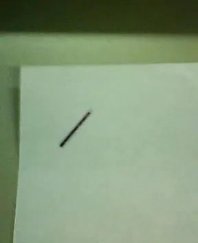P1000030.webp