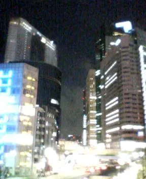 P1010006.webp