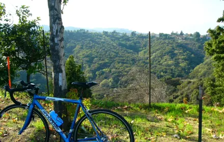 Hill climbing to the north from home