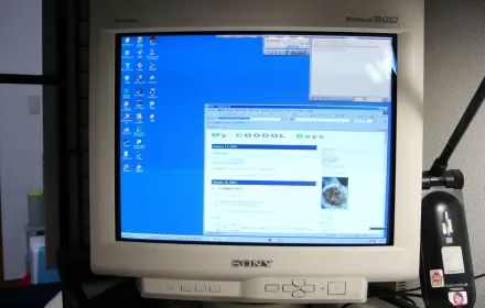 SONY Multiscan 19GS2