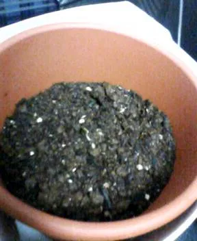P23re21000010.webp