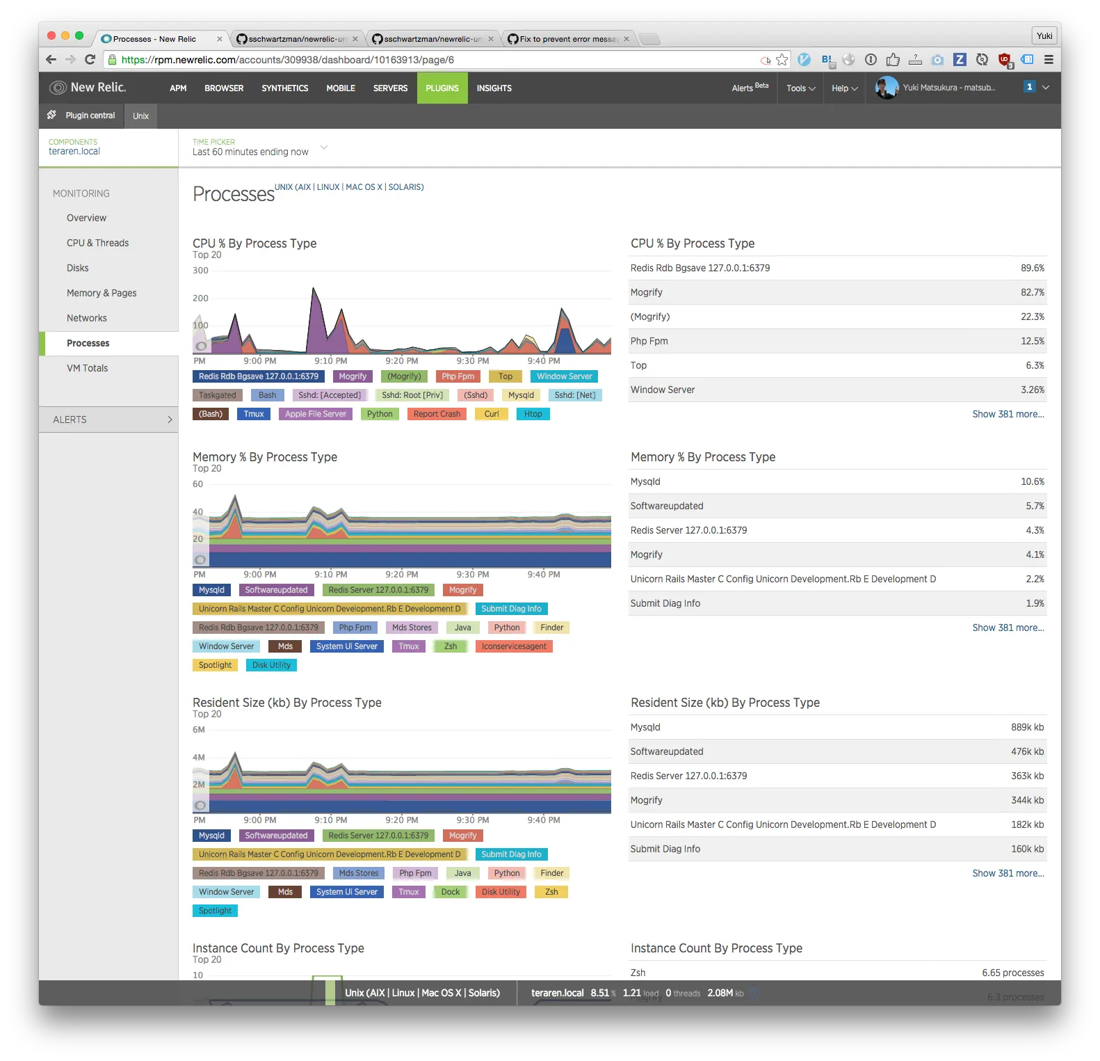 new relic  processes