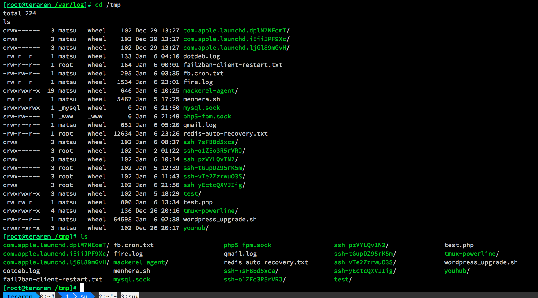 zsh before