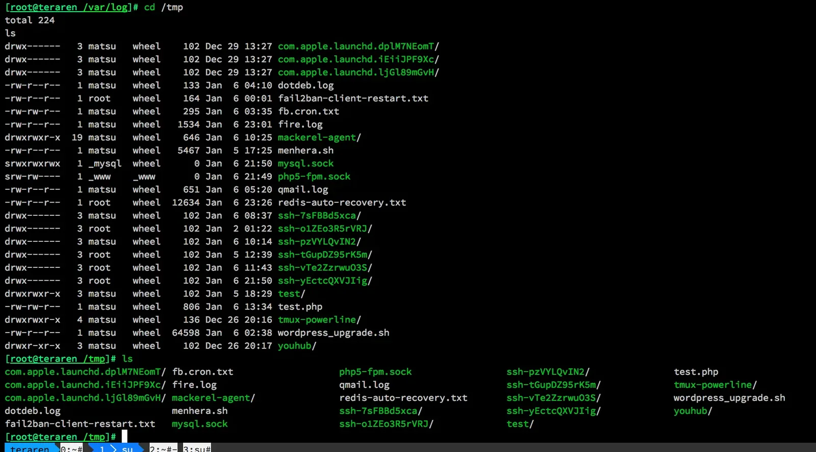 zsh before