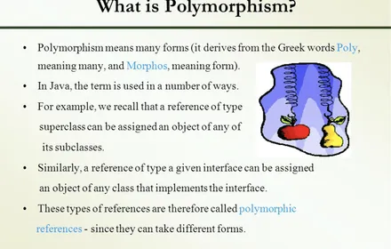 Cover Image of the Post