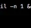 [PHP]変数vs文字列