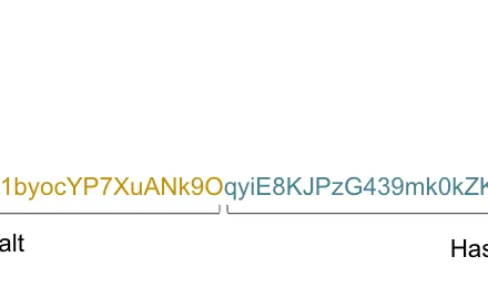 Cover Image of the Post