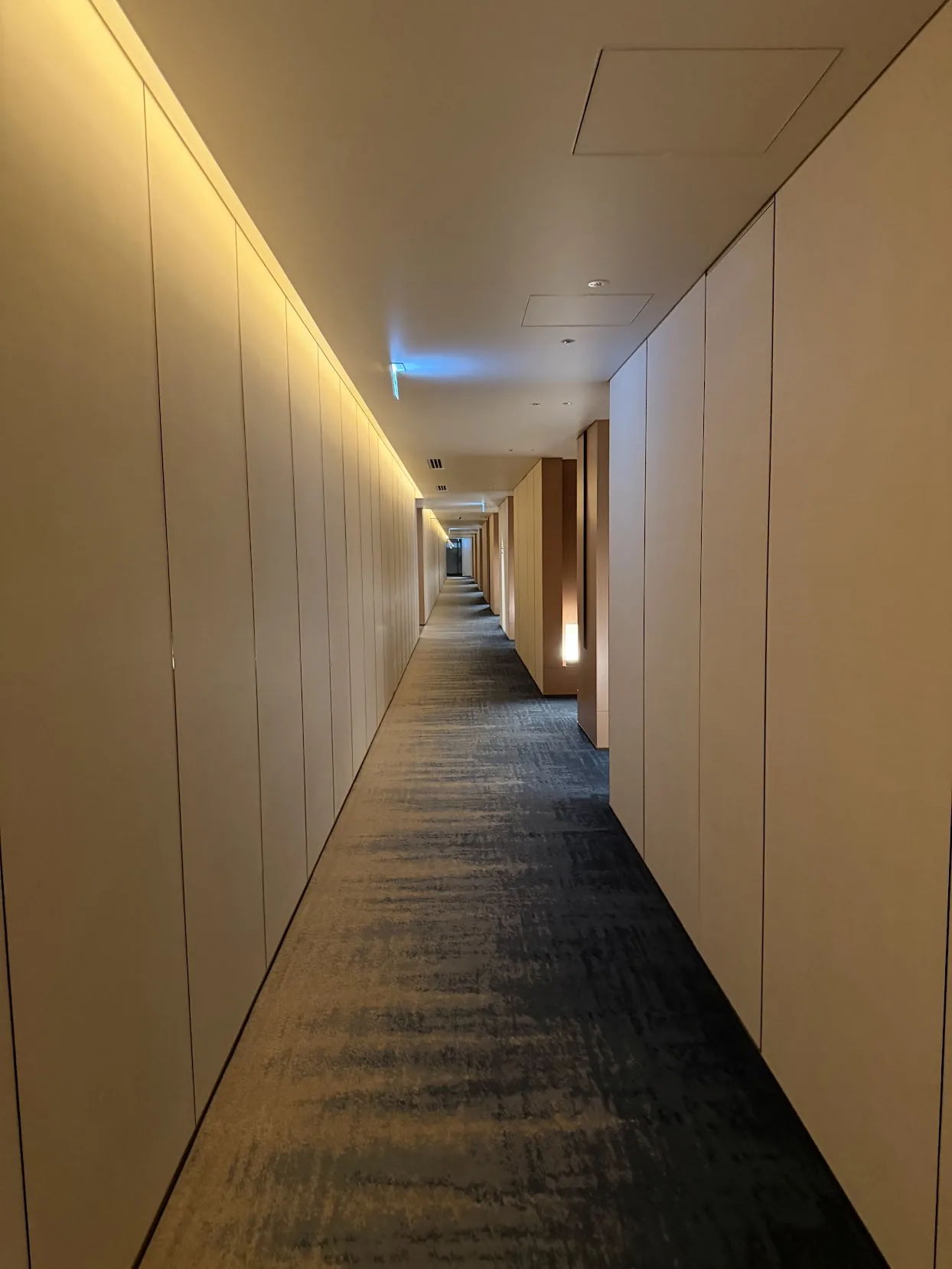客室階の廊下