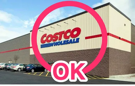 Cover Image of the Post