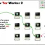 torのリレーnodeセットアップ