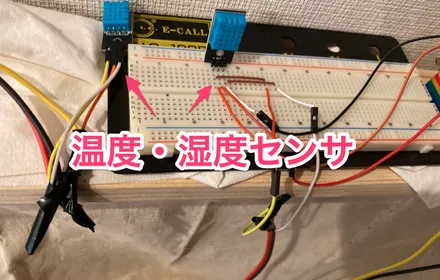 Cover Image of the Post