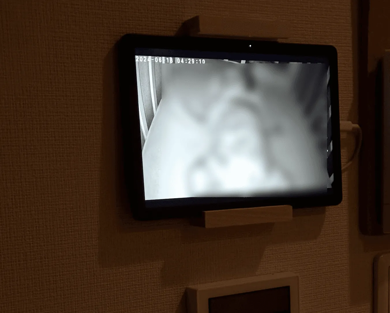 暗視カメラ映像
