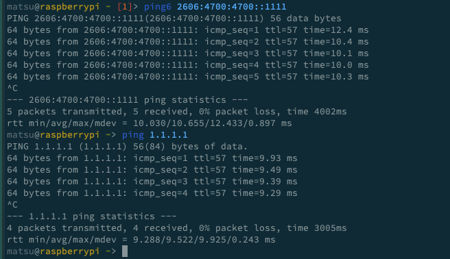 IPv6/IPv4接続確認結果