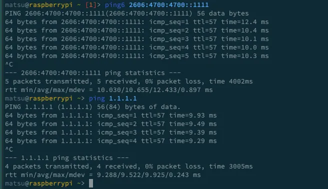 IPv6/IPv4接続確認結果