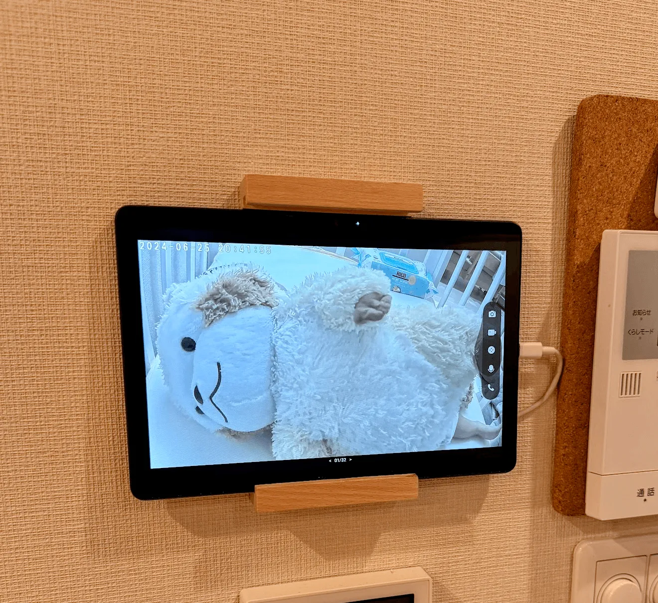 赤外線カメラの映像