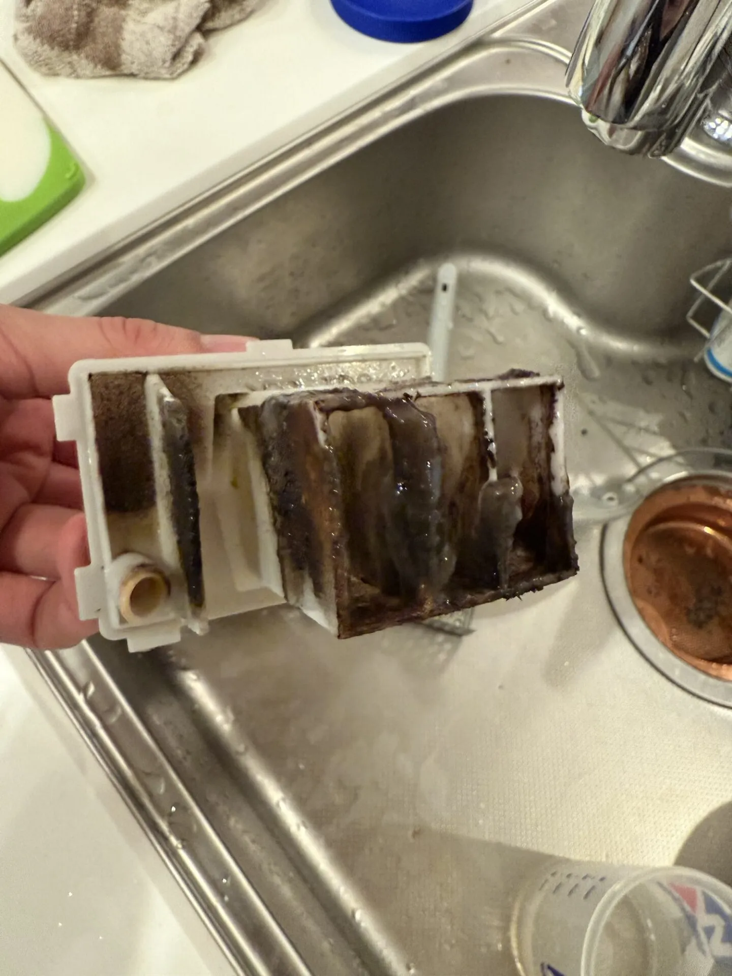排水トラップ裏面のヘドロ