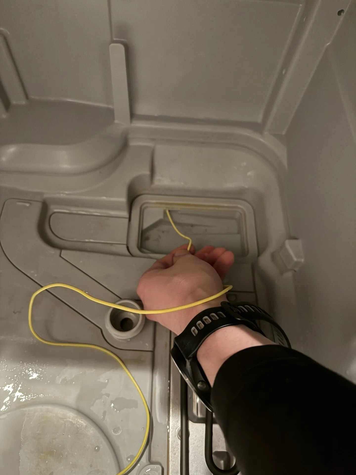 ブラシで掃除中