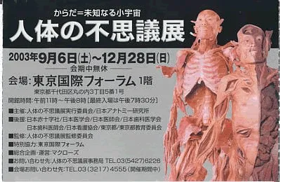 Cover Image of the Post