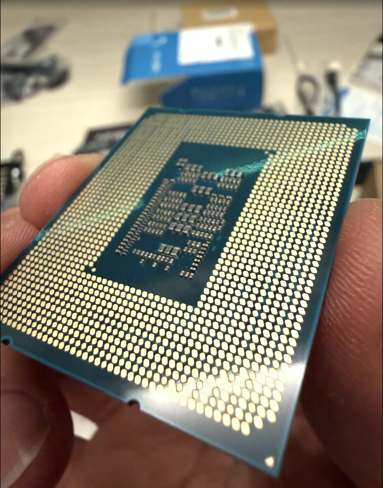 Intel Core i3-14100 の裏面。LGA1700 のランドが並ぶ