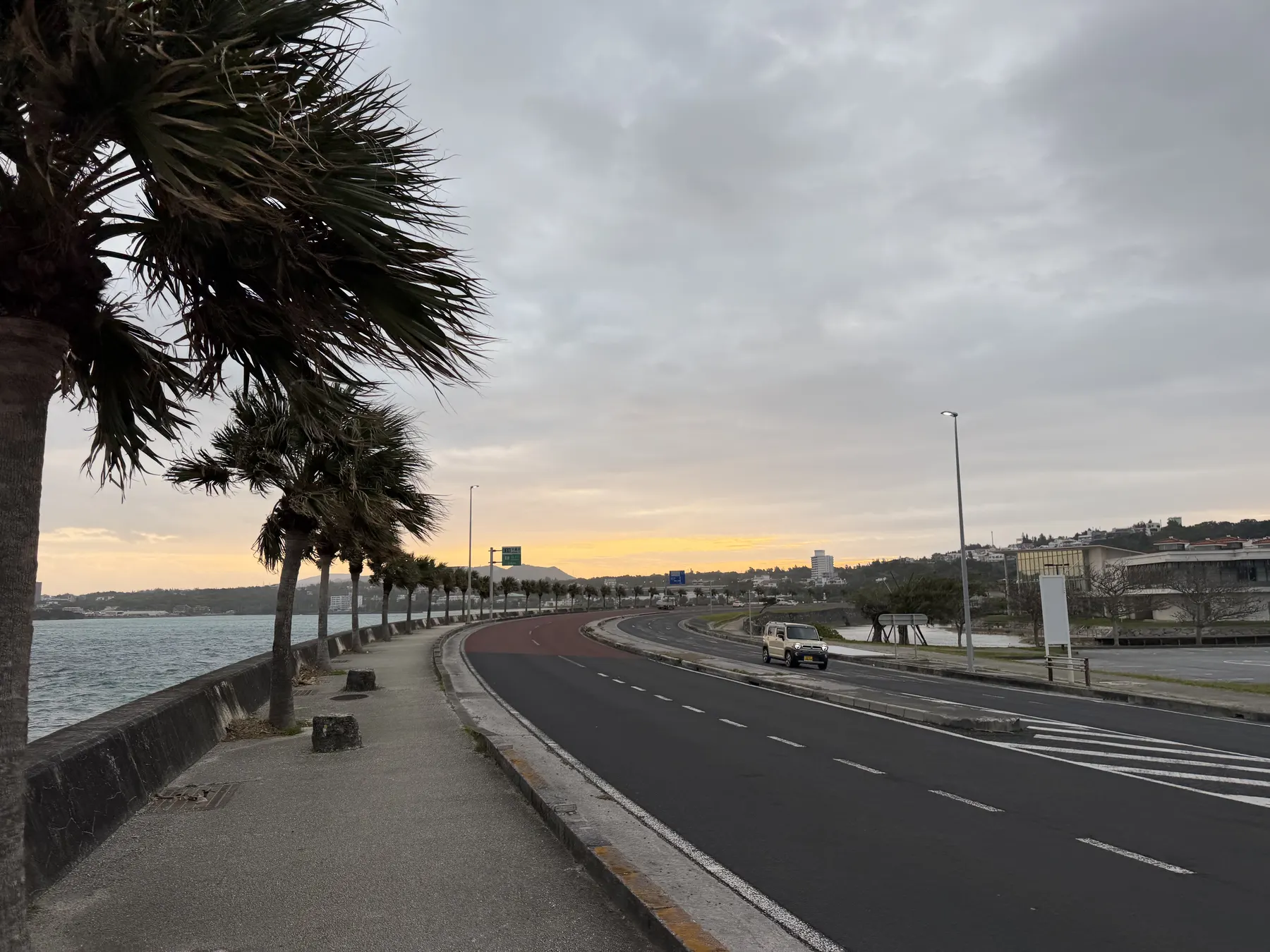 朝焼けの海沿いの道