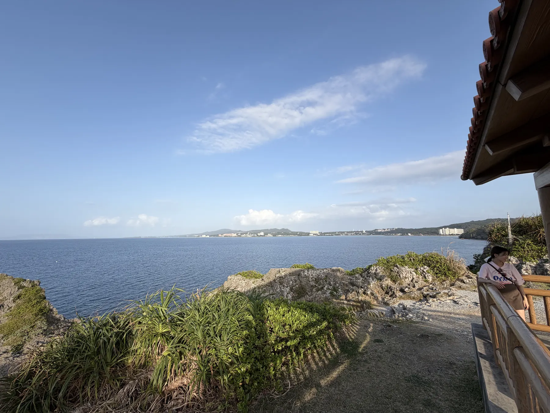 岬から見た海岸線