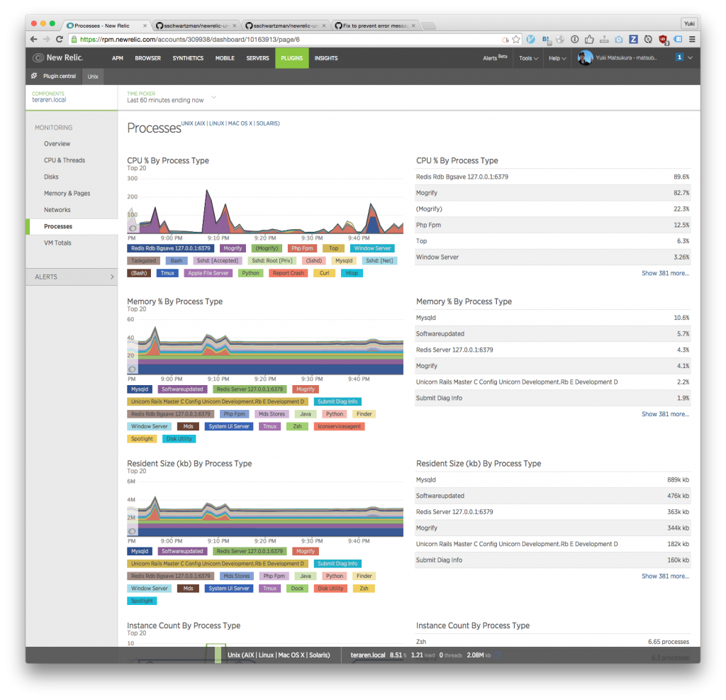 new relic  processes